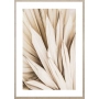 OBRAZ DRIED PALM LEAVES NO.2 Suszone Liście Palmowe